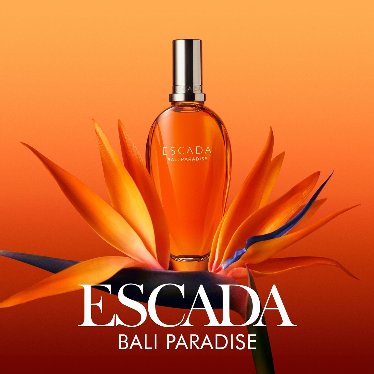 Bali Paradise 30 ml